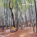 한화호텔앤드리조트(주)해운대 | 4월 국내 여행지 추천 힐링 여행 코스 5