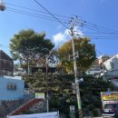 고지대 그린 테마공원 이미지