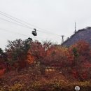 남산 이미지