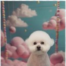 블랑드펫 이미지