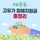 한살림제주소비자생활협동조합서귀포동홍매장 | 제주도 고유가 피해지원금 대상 금액 신청방법 총정리