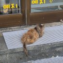 예지머리방 이미지