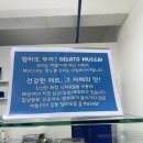 젤라또무까