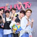 101 이미지