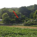 중대동 산10-1 이미지