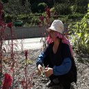 동해닭갈비 이미지