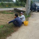 승기농장 이미지