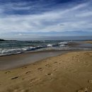 김밥세상 이미지