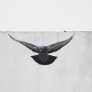 벽산블루밍(아) 이미지