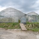 늘푸른 관광농원 이미지