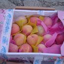 도화우체국 이미지