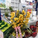 초이스약국 이미지