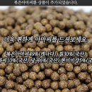 미네팜 이미지
