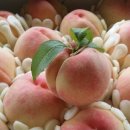 매화골농장 이미지