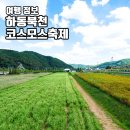 북천꽃단지 | 하동 가볼만한곳 하동 북천 코스모스 메밀꽃 축제 일정 가을 꽃구경