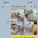 킁킁펫살롱 이미지