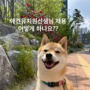 털로 덮인 친구들 인천검단점 | 🐾 애견유치원 선생님, 어떻게 될 수 있을까요? 털로덮인친구들인천검단점의 채용 이야기
