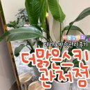 테라워시 대전송강점 | 관저동 바디관리, 곰 100마리 올린 굽은 등 &#39;테라노바&#39;로 쫙 편 솔직후기 (더맑은스킨, 첫방문 30% 할인)