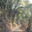 동고지 민박 이미지