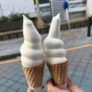 다경막창