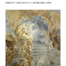 삼엽충 화석 [고생대 오르도비스기 / 강원 영월군 상동읍 / 김현대] 이미지