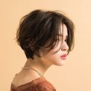 더 플랫