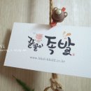 꿀꿀이족발 - 목포시 영산로 575 | 꿀꿀이족발