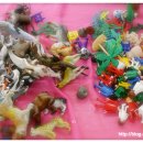 정화여자고등학교 이미지