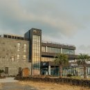 제주요트투어 (주) | [공지] [제주 요트투어 리얼후기] 바다 위에서 마주한 야생 돌고래! 한 번쯤은 꼭 가봐야 할 감동 체험