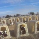 현지목장 이미지