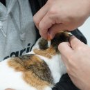 온동물병원 이미지