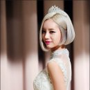온스헤어 네이버블로그