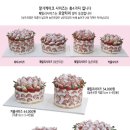 오사랑케이크