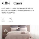 [이사준비] 내돈내산 이불 구매 후기! 알레르망 대전둔산점