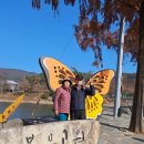 더 도움 8주년지나고 ●봉무공원 기도하고 ●나비관 관람하다 ●신숭겸 동상참배하고 무우.시금치사다 ●가정비상약 4가지●전자렌지 이미지