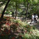 모악산도립공원 티스토리