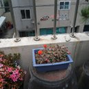 송림세탁소 이미지