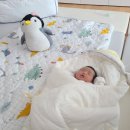 👨‍🍼아빠의 육아일지_EP7. 산후조리원/도우미 없이 아기를 바로 키울 수 있을까?(ft. 삐뽀삐뽀119)