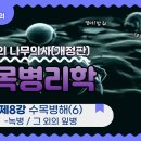 [개정판 나무의사] 수목병리학 - 제8강 수목병해(6) : 녹병 / 그 외의 잎병 조회수 1.1만회 10개월 전 이미지