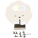 제주반딧불 이미지