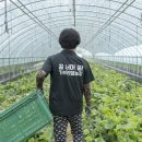 이기순농장 이미지