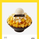 설빙 Daum카페