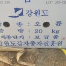 오륜농장 이미지