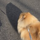 천지명인 | 님들은 강제로 제 일상을 보셔야되는 운명인겁니다