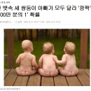 한 뱃속 세 쌍둥이 아빠가 모두 달라 '깜짝'.. '100만 분의 1' 확률 이미지