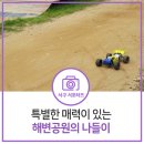 청라 해변공원 RC게임장 | 꽃 그리고 RC 게임장까지! 특별한 매력 인천 서구 해변공원의 나들이 후기