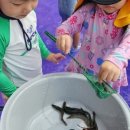 강담어린이집 이미지