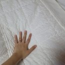 통나무펜션&편백쉼터 이미지