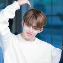 쿱스 이미지