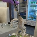 함평해보뻘낙지 이미지